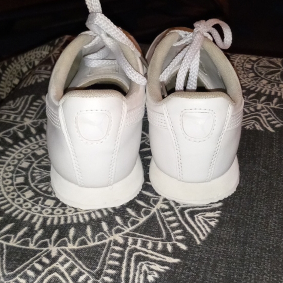 Pumas - Picture 6 of 12